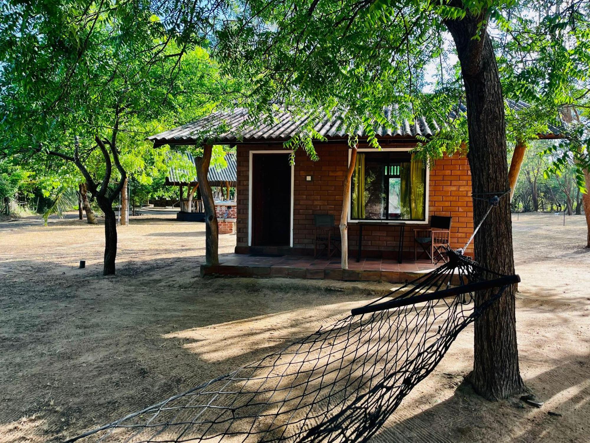 Funky Leopard Safari Lodge Bordering Yala National Park Kataragama Exterior foto